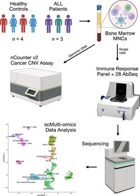 Single-cell multi-omics reveal stage of differentiation and trajectory-dependent immunity-related gene expression patterns in human erythroid cells